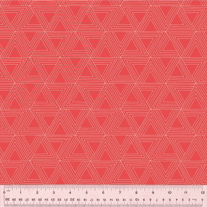 Icognitio - Salmon