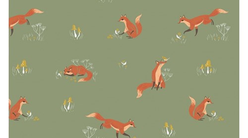 Fox in Aloe