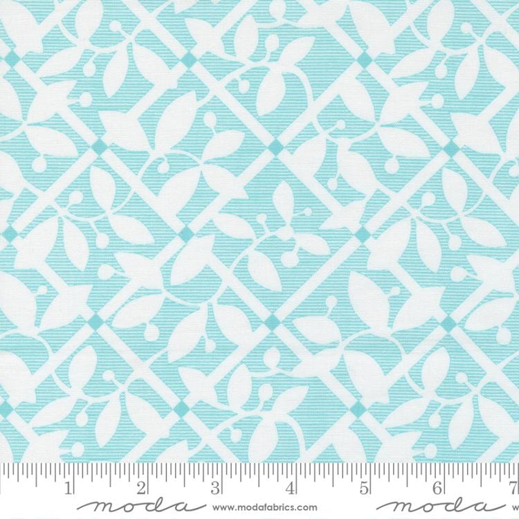Frozen Frenzy - Awesome Aqua