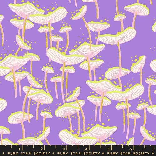 Fungi - Amethyst *Glow*