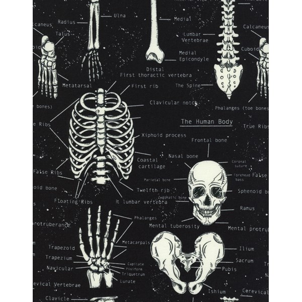 Glow Skeletons in Black