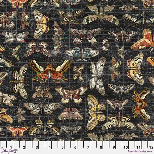 Halloween Moth Study
