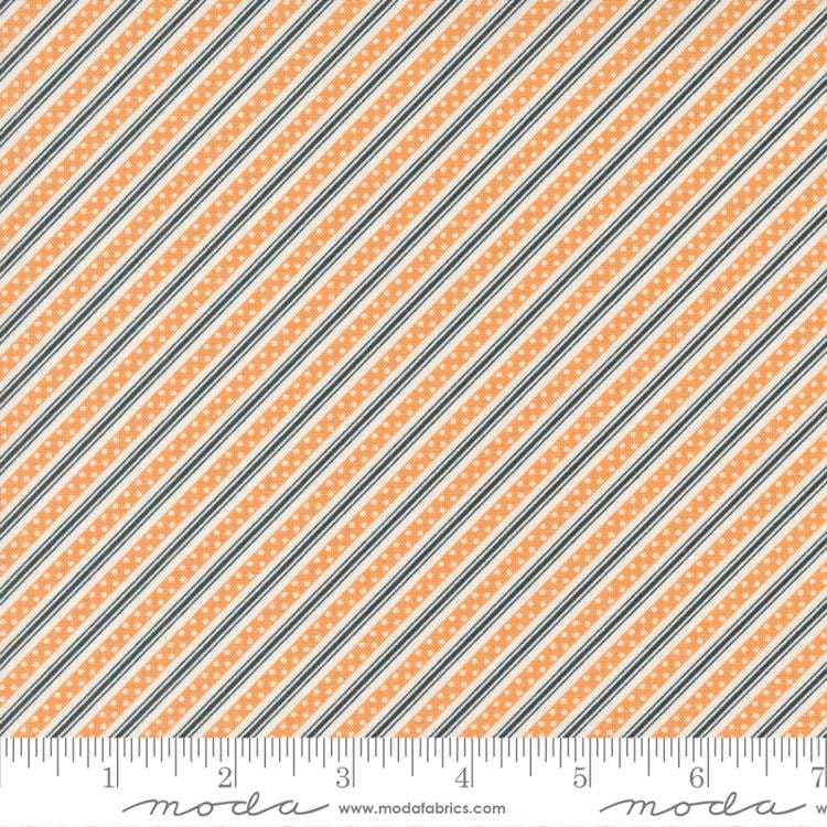 Halloween Stripe - Midnight