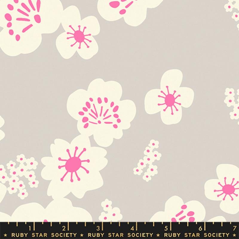 Hana - Sandbox CANVAS