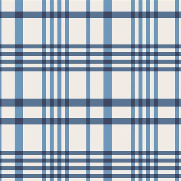 Happy Plaid - Sky FLANNEL