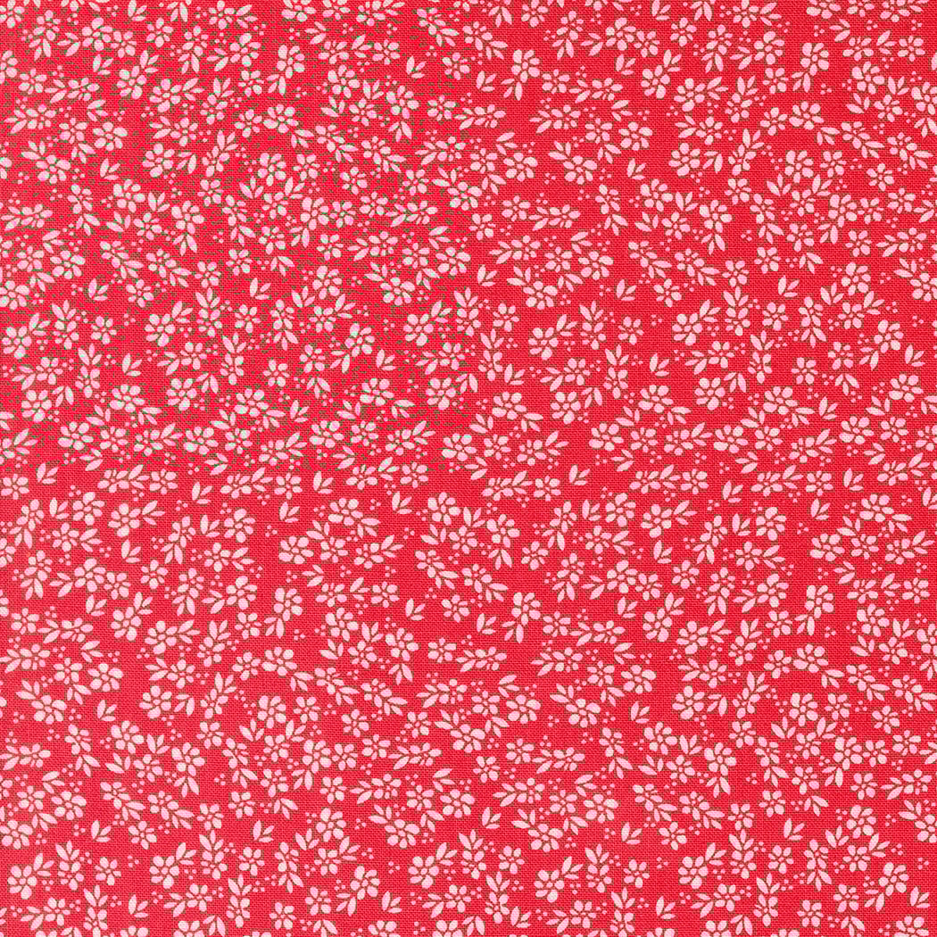Harbor Floral - Geranium