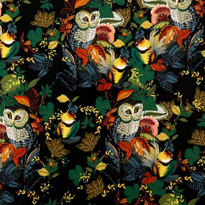 Harvest Owl