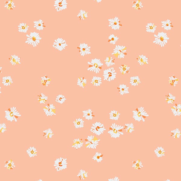 Hazy Daisies