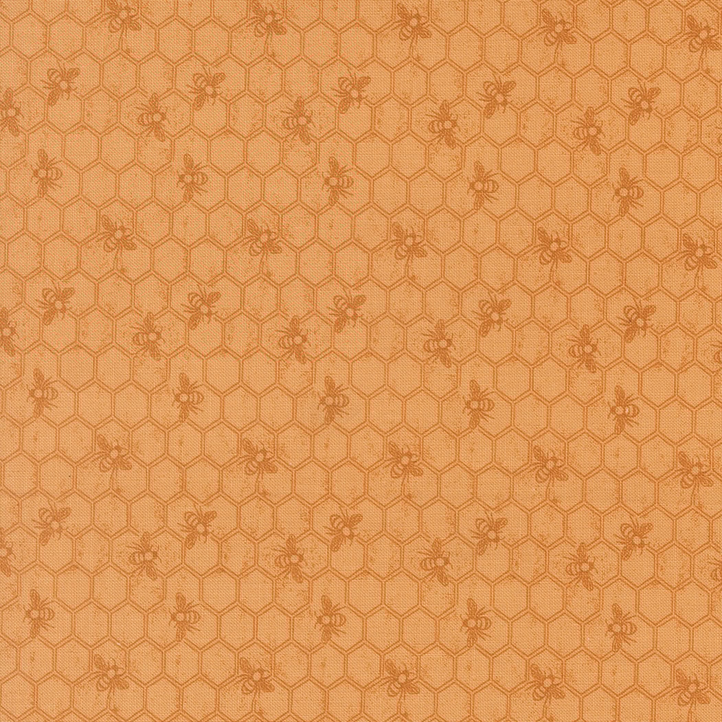 Honeycomb - Honey