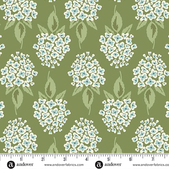 Hydrangea - Evergreen