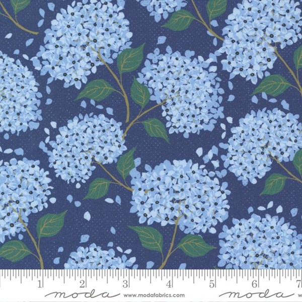 Hydrangeas - Indigo