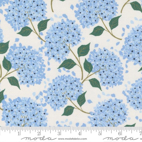 Hydrangeas - Cloud