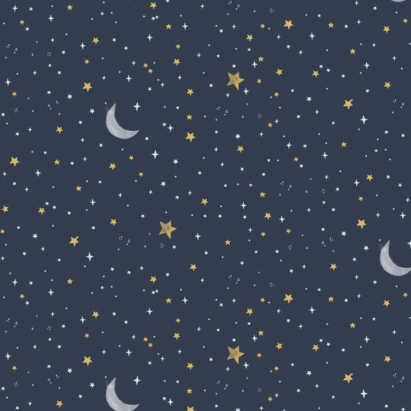 Koala Night Sky - Midnight