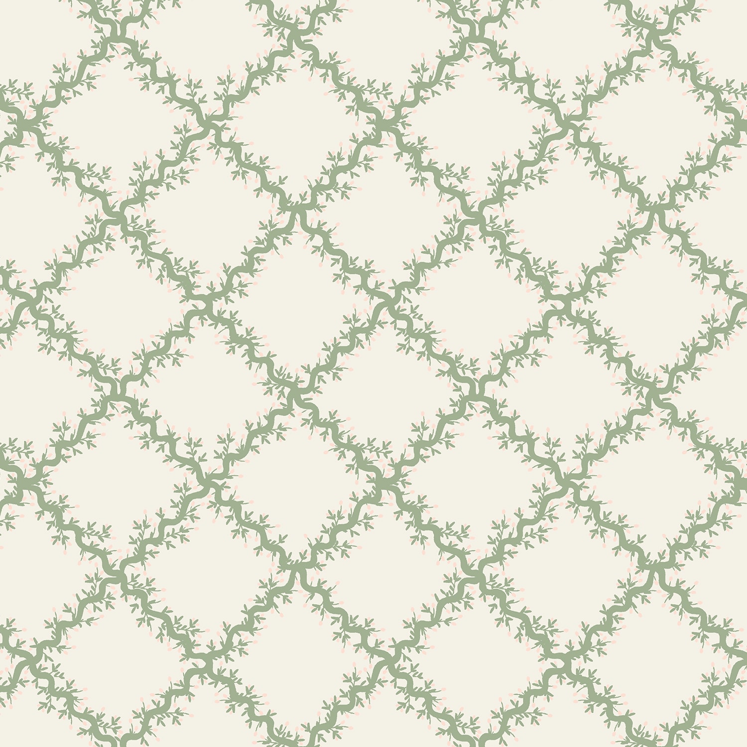Lattice - Cream