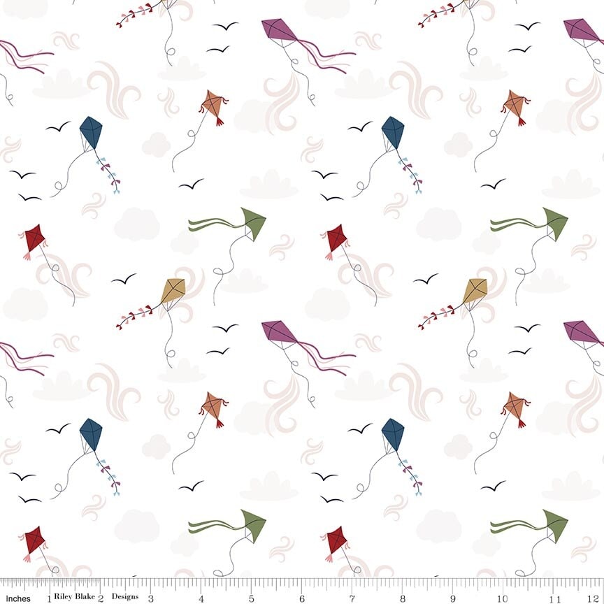 Let's Go Fly a Kite - Cloud