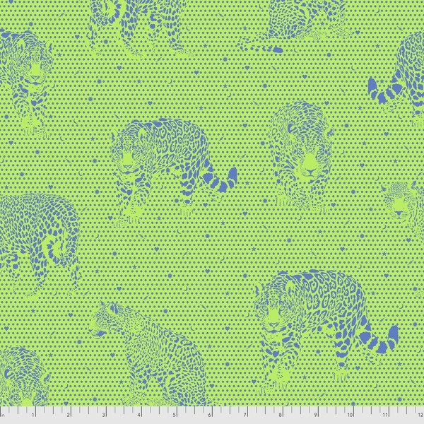 Lil Jaguars - Kiwi-5 Yards