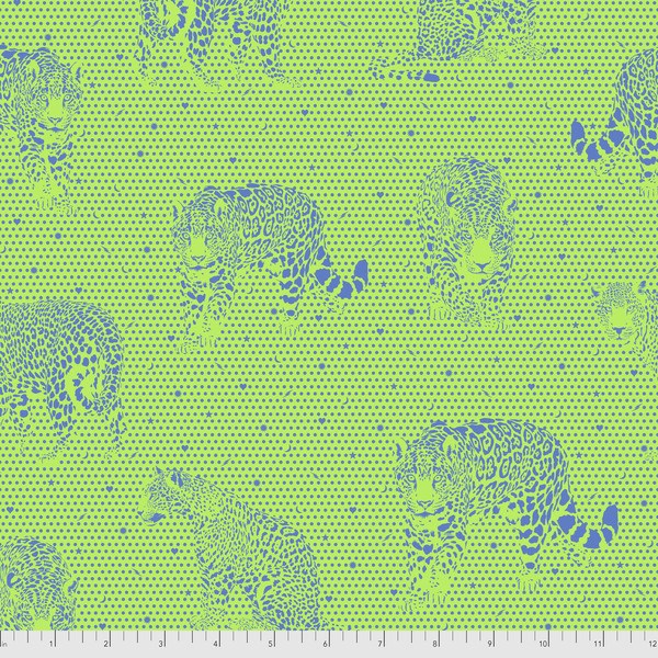 Lil Jaguars - Kiwi-5 Yards