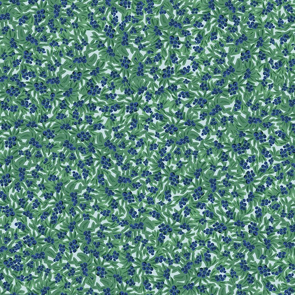 Meadow Blueberries