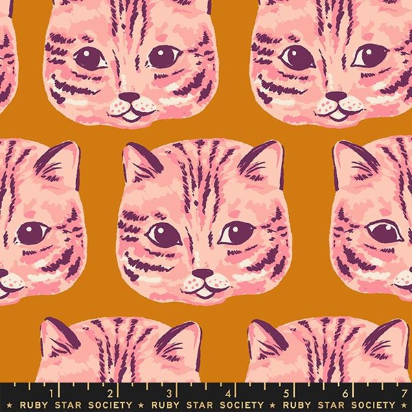Meow Meow - Earth CANVAS
