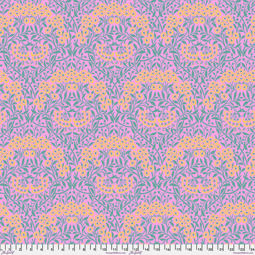 Michaelmas Daisy - Pink