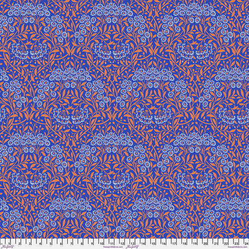 Michaelmas Daisy - Cobalt