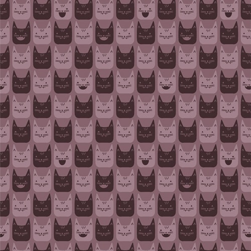 Midnight Meows