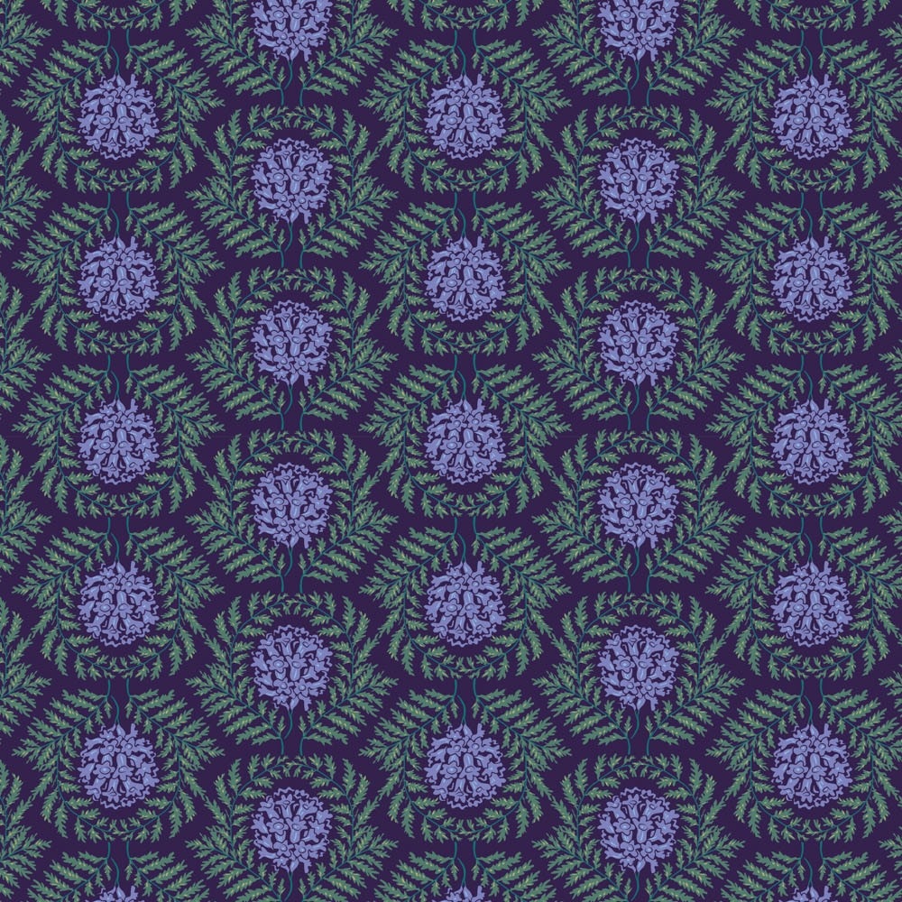 Mini Jacaranda - Cool