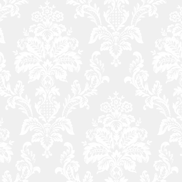 Monochrome Damask