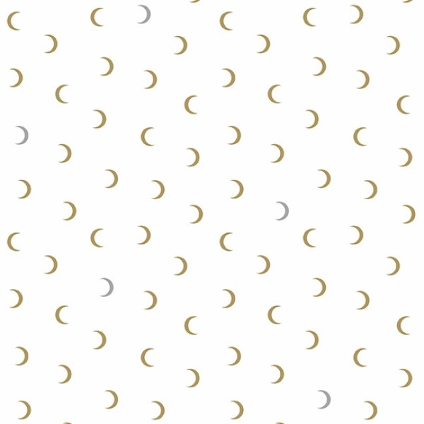 Moon Age