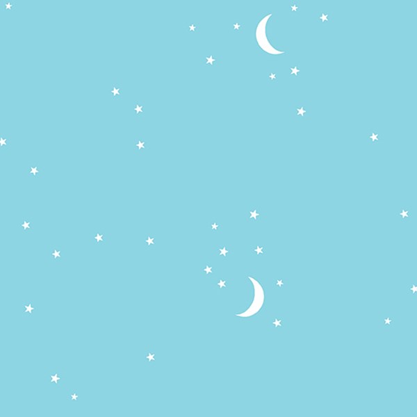 Moon and Stars - Pool