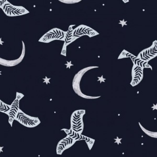 Moon Birds in Astral