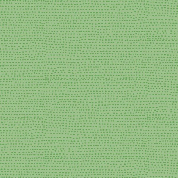 Moonscape - Kiwi