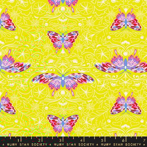 Morning Moth - Citron *Glow*