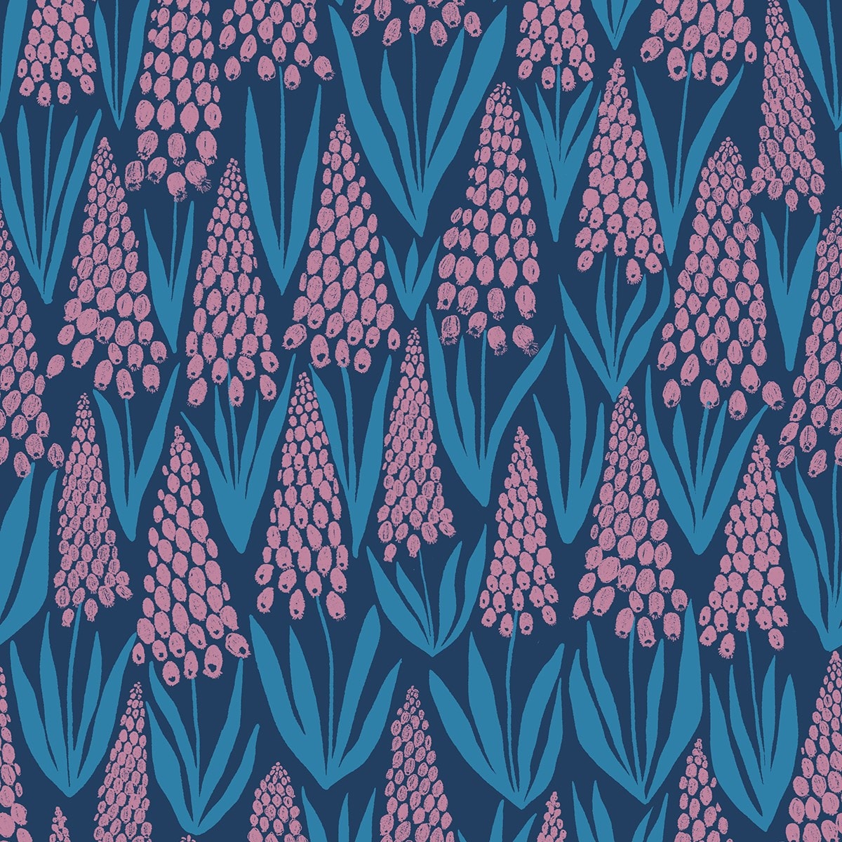 Muscari - Bluebell