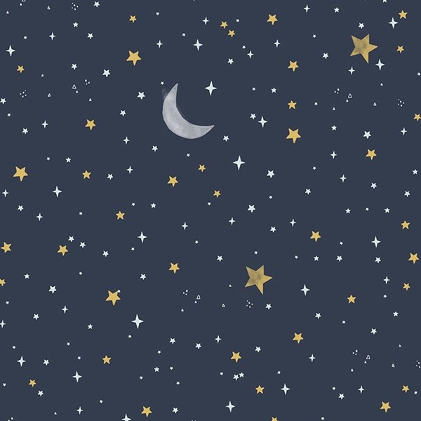 Night Sky Minky