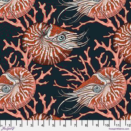 Noble Nautilus - Pink