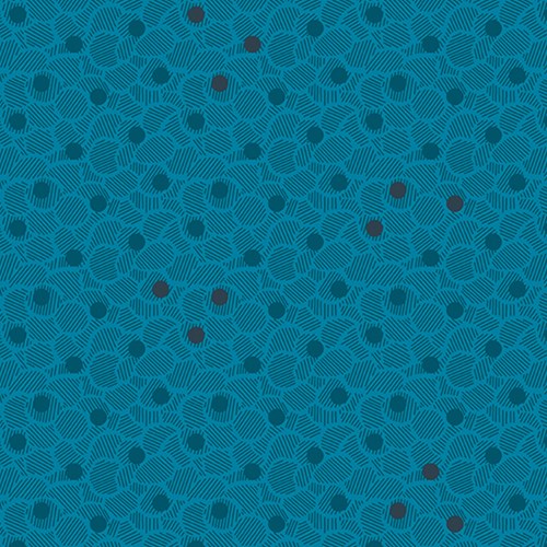 Nucleoid in Cerulean