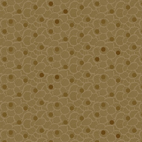 Nucleoid in Puddy