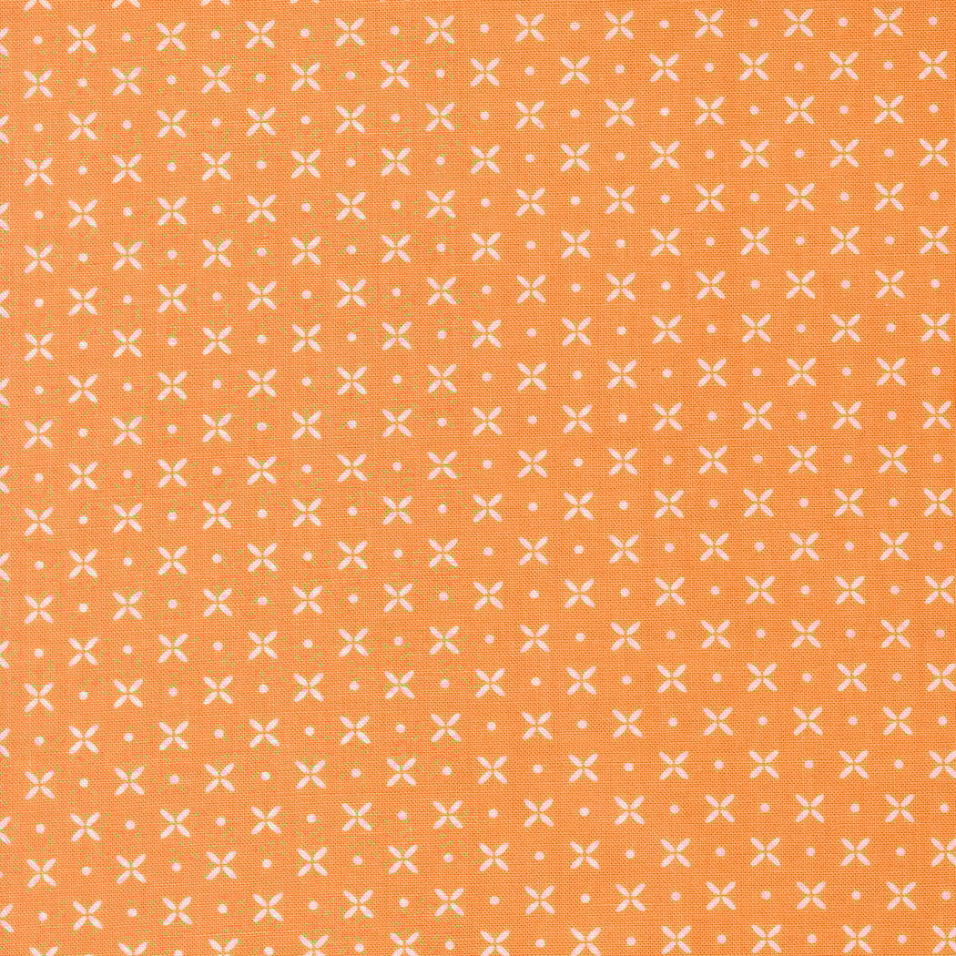 Orange Peel - Orange