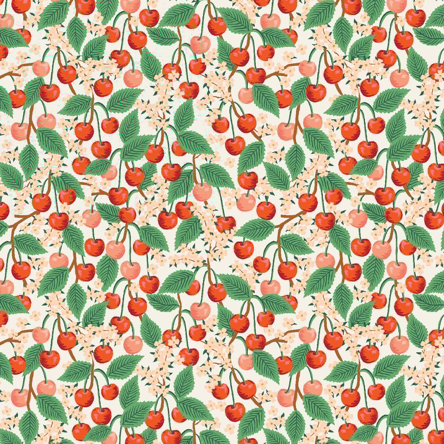Cherry Blossom - Cream