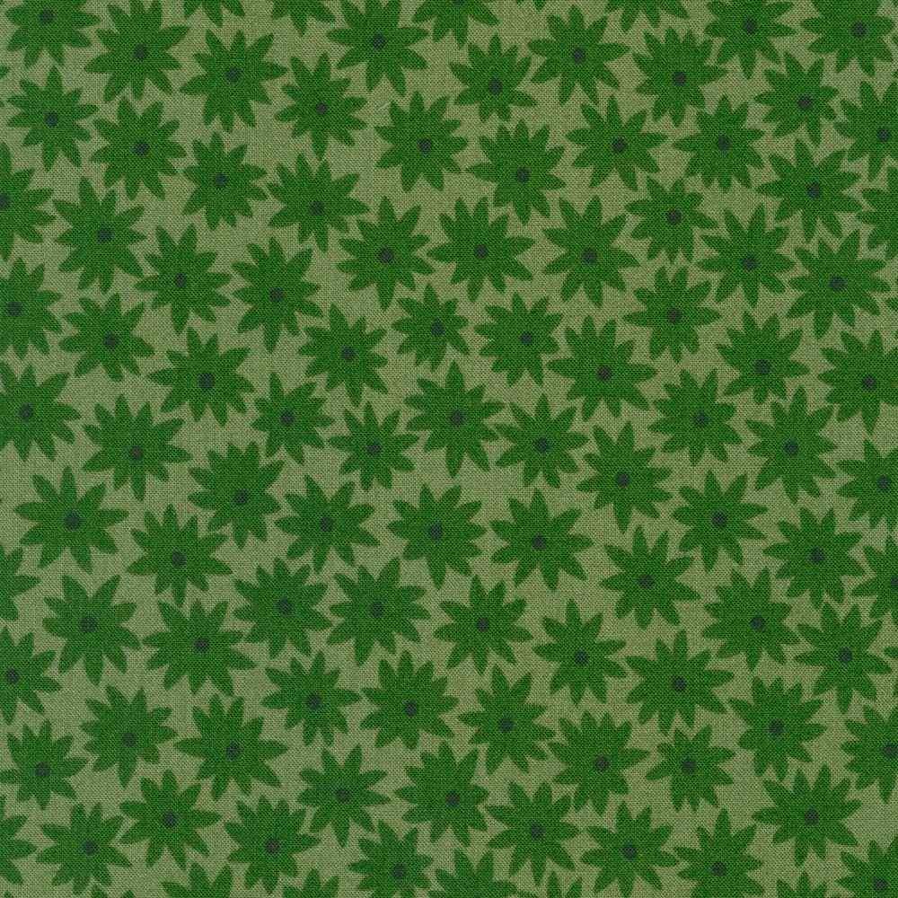 Flowers - Basil