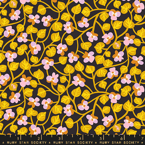 Pansy