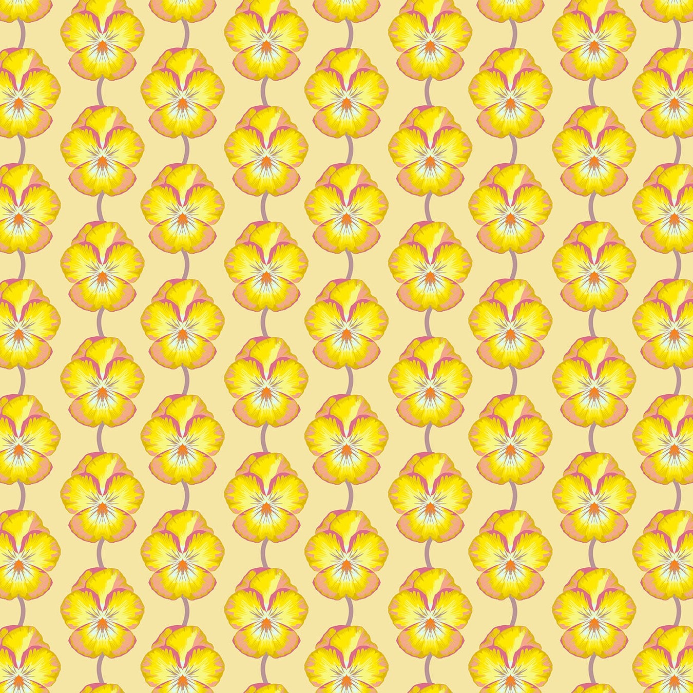 Pansy - Muted