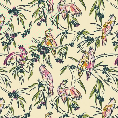 Parakeet Paradise