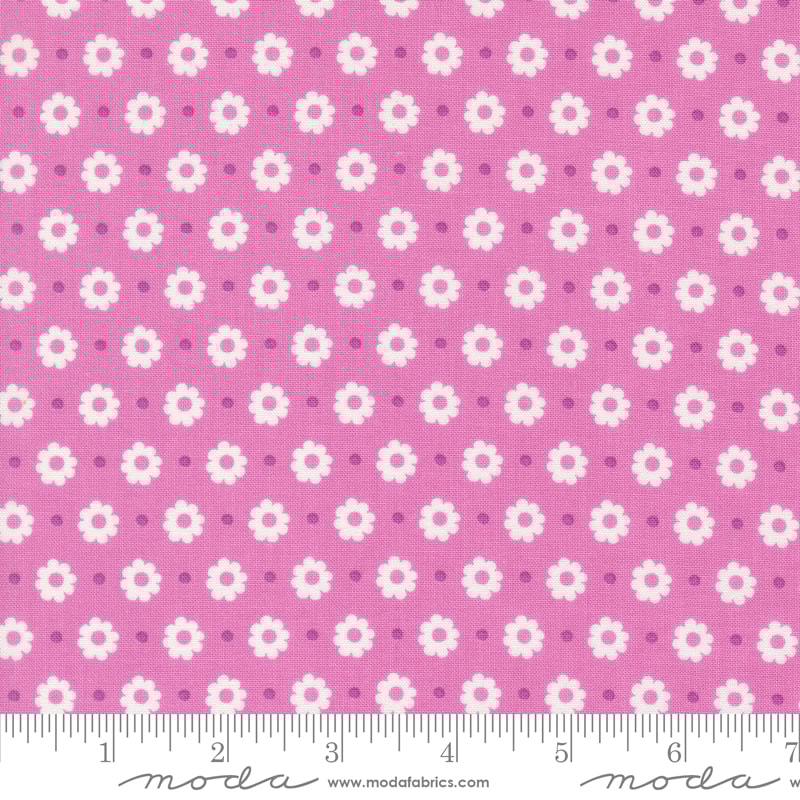 Petal Floral