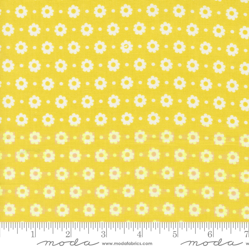 Petal Floral
