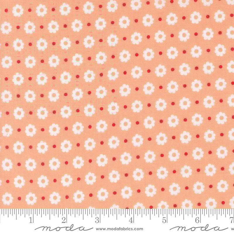 Petal Floral