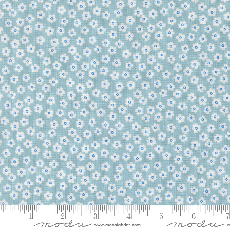 Petal Power - Dusty Sky