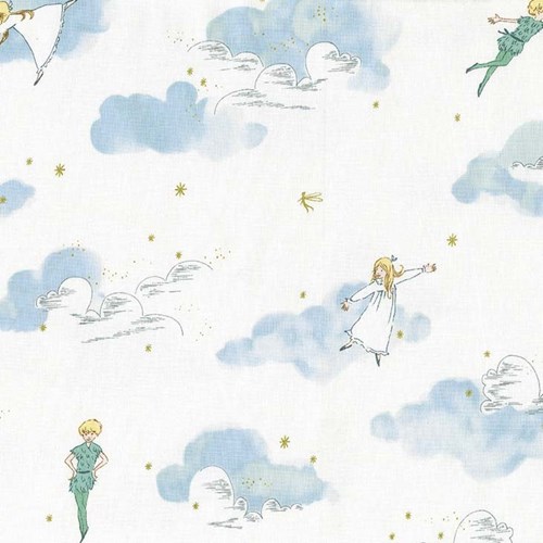 Peter and Wendy in Cloud