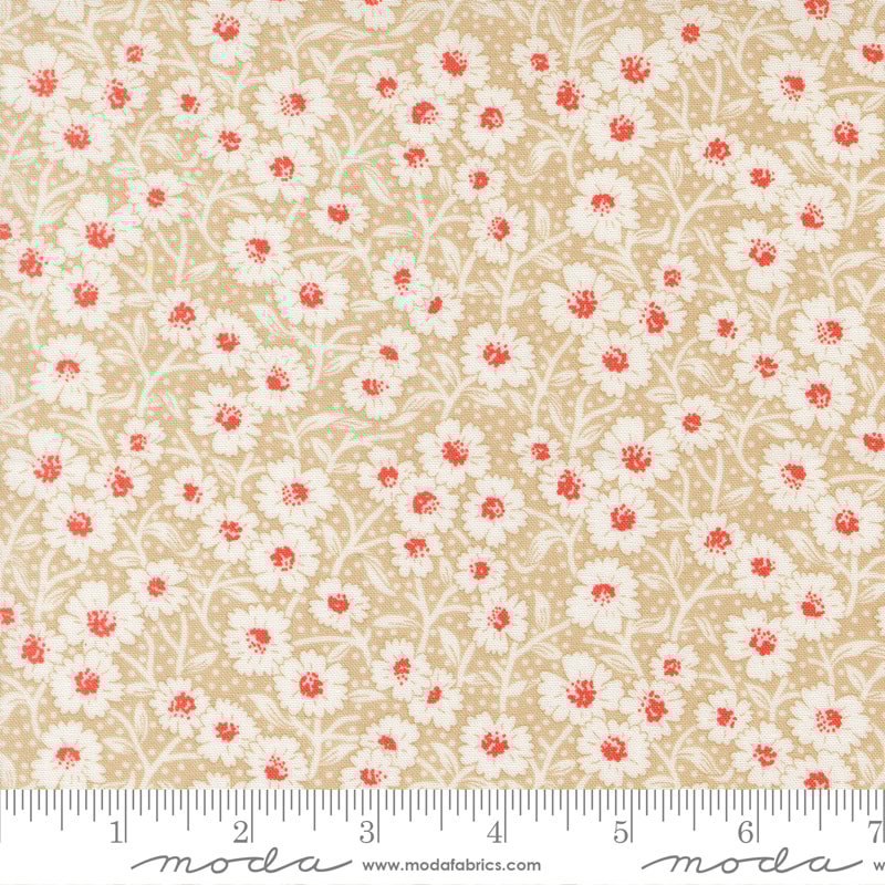 Picnic Bloom - Garden Path